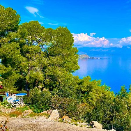 Pines & Sea Villa โซฟิโค ภายนอก รูปภาพ